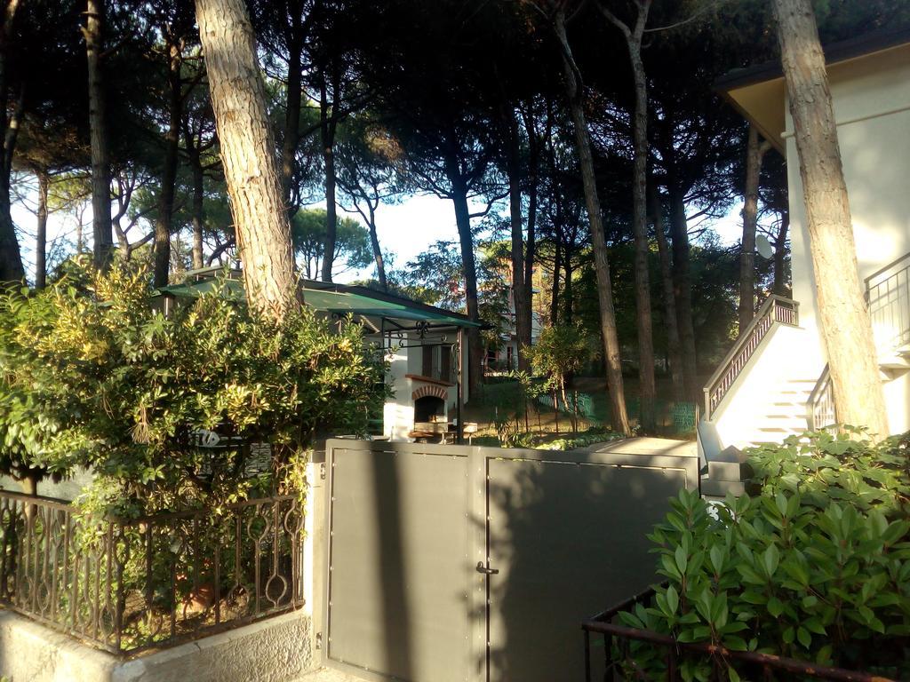 Trifoglio *