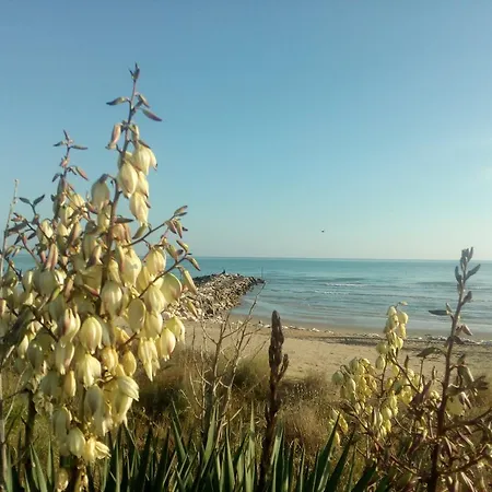 Trifoglio Appartamento Lido di Jesolo
