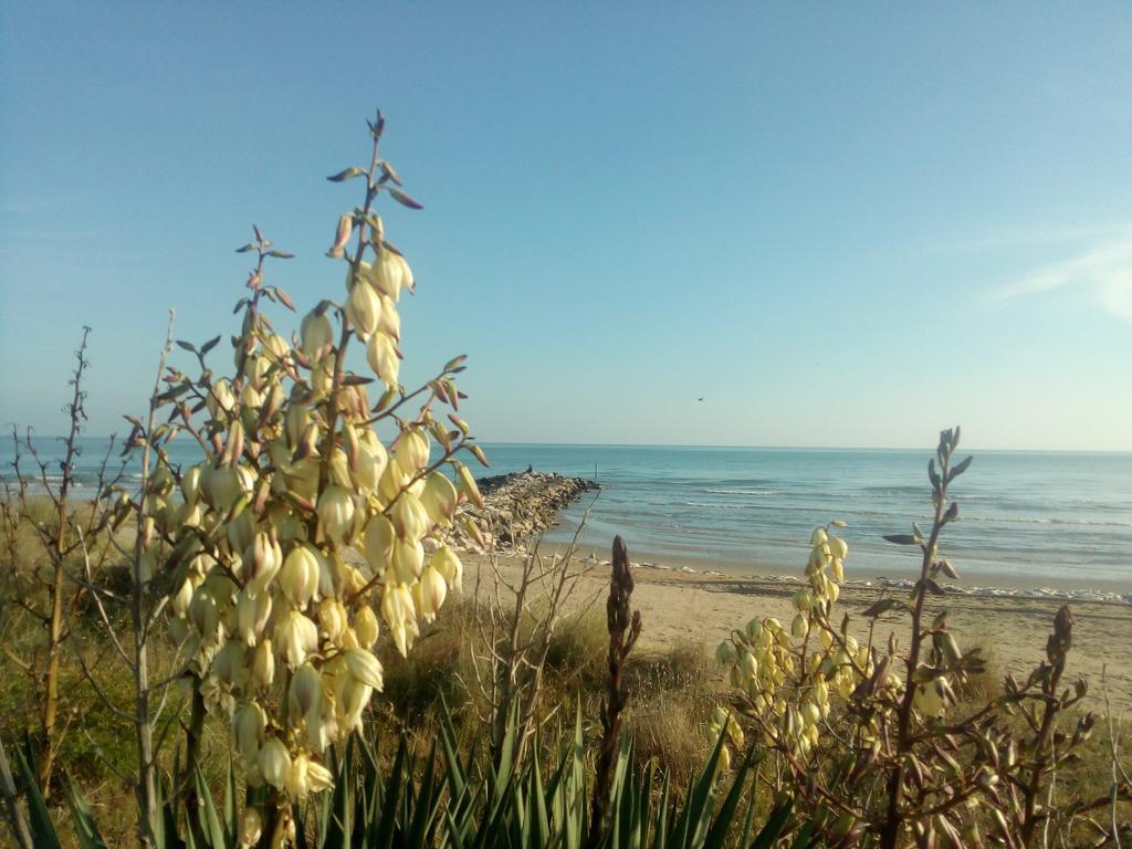 Trifoglio Appartamento Lido di Jesolo