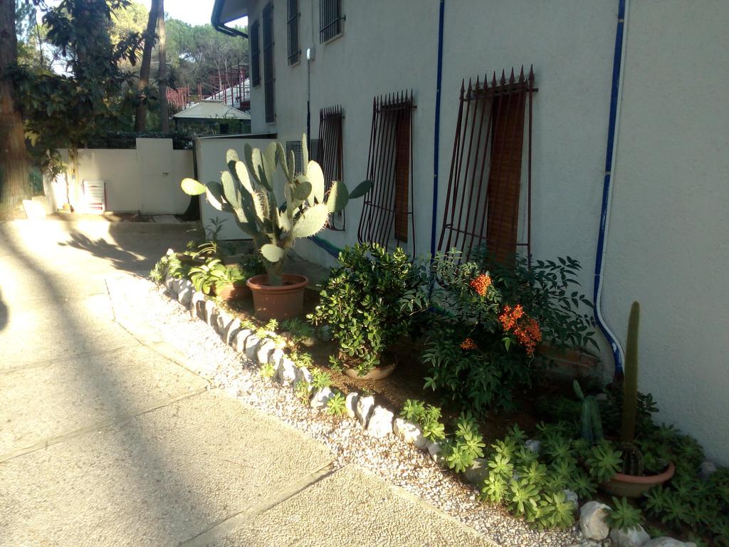 Trifoglio Lido di Jesolo